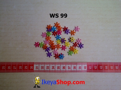 WS 99  large2